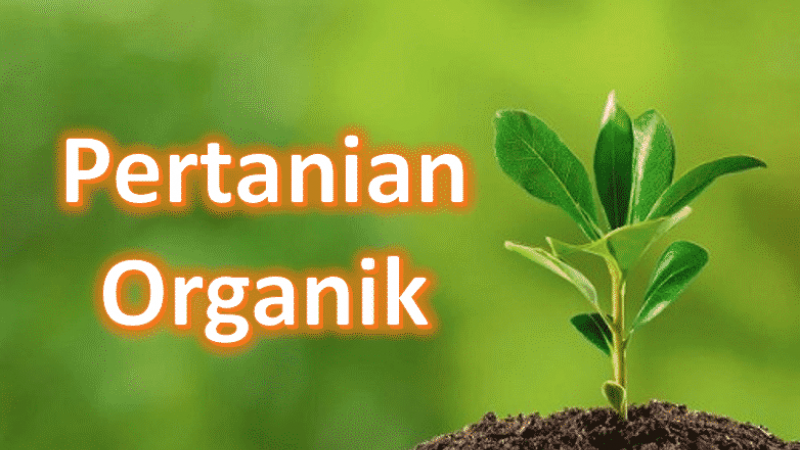 Sistem Pertanian Organik - Yeni Ika Pratiwi, SP., M.Agr - Universitas ...