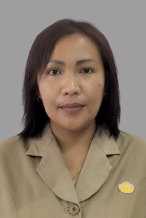 unmerbaya.ac.id